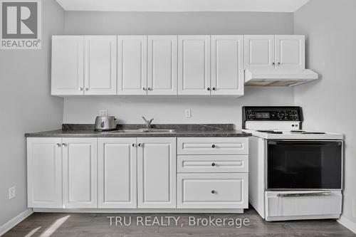 45 Bell Street N, Ottawa, ON - Indoor Photo Showing Kitchen With Double Sink