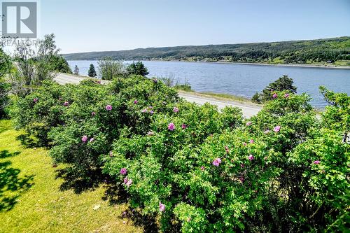 37 Main Road, Riverhead, NL - Outdoor With Body Of Water With View