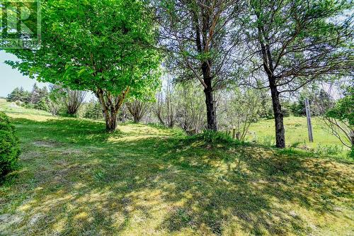 37 Main Road, Riverhead, NL - Outdoor
