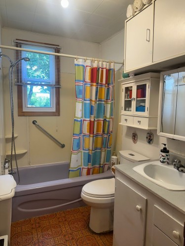 Salle de bains - 1530 5E Avenue, Shawinigan, QC - Indoor Photo Showing Bathroom