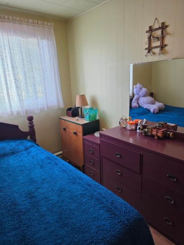 Chambre à coucher - 1530 5E Avenue, Shawinigan, QC - Indoor Photo Showing Bedroom