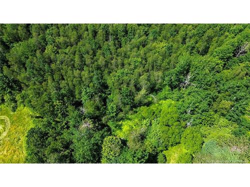 848 Mapleton Rd, Moncton, NB - Outdoor