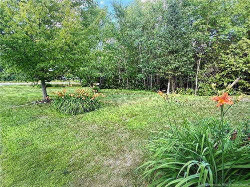 333 Mcminn Rd, Rollingdam, NB 