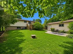 Backyard - fully fenced in - 