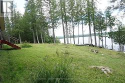 Front Yard - 