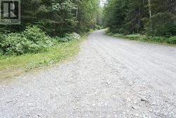 Road to the Boat Launch - 
