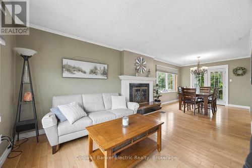 1657 4Th Line, Douro-Dummer, ON - Indoor Photo Showing Living Room With Fireplace