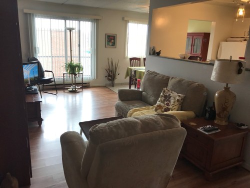 Living Room - 2-8525 Av. Des Ponts-De-Cé, Montréal (Anjou), QC - Indoor Photo Showing Living Room