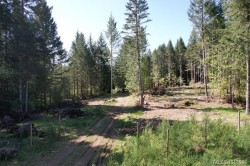 Lot 4 Appaloosa Way Duncan, BC V9L 6J1