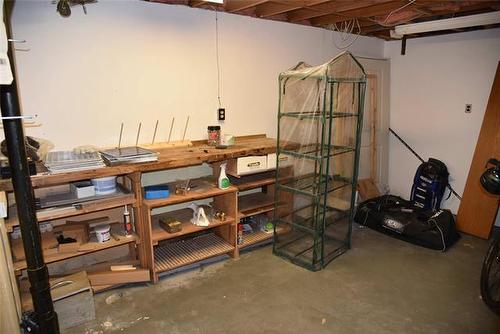 86 Mutchmor Cl, Winnipeg, MB - Indoor Photo Showing Basement
