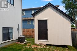 Backyard Shed - 