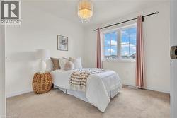 Bright room featuring soft neutral carpeting and white wall paint - 