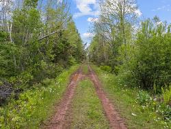 0 Adams Road Fanning Brook, PE C0A 1T0
