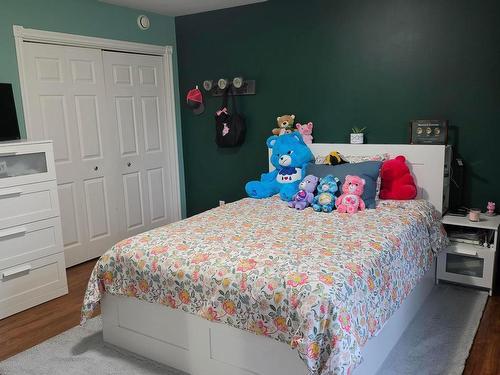 537 Onslow Mountain Road, Onslow Mountain, NS - Indoor Photo Showing Bedroom
