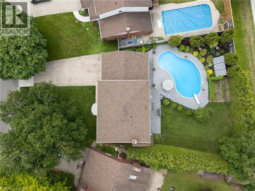 Rear yard featuring a freeform swimming pool with concrete surround, expansive lawn, mature perimeter hedging, and established landscaping - 7 Thomson Road, Simcoe, ON - Outdoor With In Ground Pool