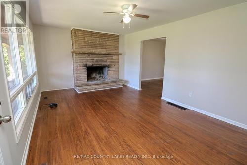 25035/7 Maple Beach Road, Brock, ON - Indoor Photo Showing Living Room With Fireplace