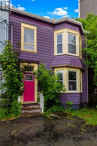 62 Leslie Street  St. John's, NL A1E 2V8