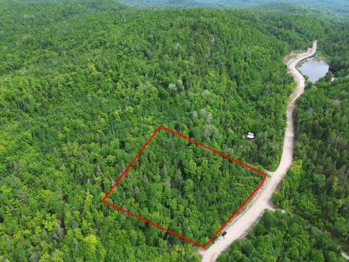 Wooded area - 9E Rang, Saint-Côme, QC 