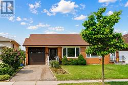 Virtually Removed Tree - 