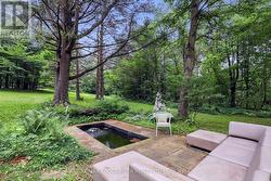 Pond - 