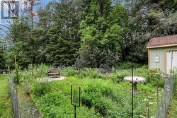 Butterfly Garden - 