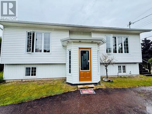 8 Normores Lane  Springdale, NL A0J 1T0