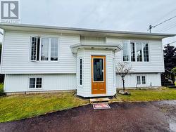 8 Normores Lane Springdale, NL A0J 1T0