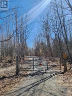 42 CLEAR LAKE COURT Marmora And Lake (Lake Ward), ON K0L 1W0