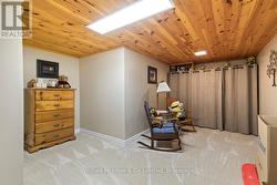 Flex Room/Office - Basement - 