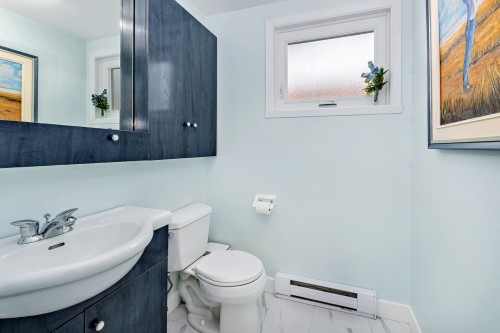 Salle d'eau - 535 Rue De Briançon, Laval (Laval-Des-Rapides), QC - Indoor Photo Showing Bathroom