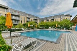 Pool - 