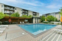 Pool - 