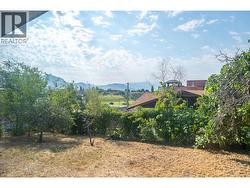 View - 