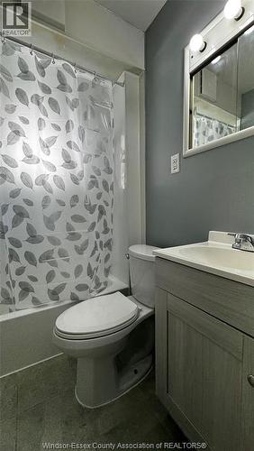 377 Chappell, Windsor, ON - Indoor Photo Showing Bathroom