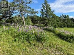 0 Route 420  Hampden Highway, NL A0K 2Y0