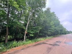 LOT 1 WIDDIFIELD STATION ROAD North Bay (Airport), ON P1B 8G2