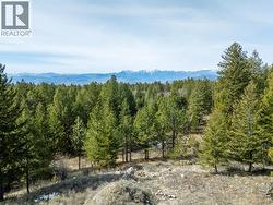 490 Wapiti Way  Osoyoos, BC V0H 1V6