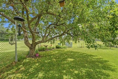 15 Sinnott St, Winnipeg, MB - Outdoor