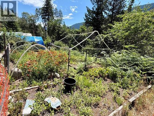 175 Grohman Creek Road, Nelson, BC - Outdoor