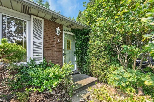 16 Sunshine Court, Hamilton, ON - Outdoor