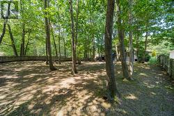 Plus a huge fenced in backyard to boot! - 