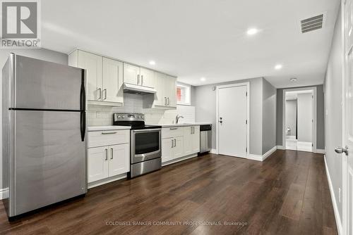 85 Lavina Crescent, Hamilton, ON - Indoor Photo Showing Kitchen With Stainless Steel Kitchen