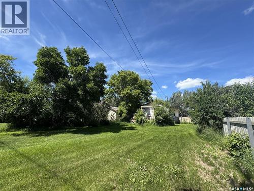 106 5Th Avenue E, Biggar, SK - Outdoor