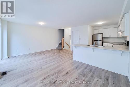 7 Roxanne Drive, Hamilton, ON - Indoor Photo Showing Kitchen With Double Sink