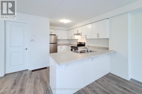 7 Roxanne Drive, Hamilton, ON - Indoor Photo Showing Kitchen With Double Sink