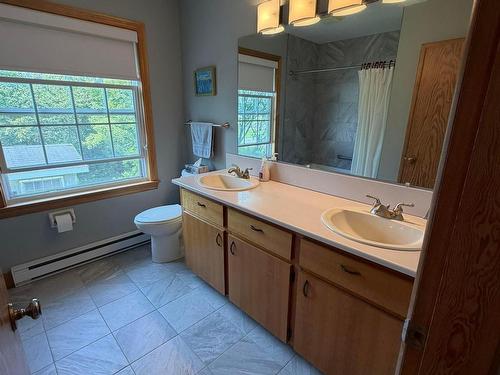 1769 Brierly Brook Road     B2G 2K9, Antigonish, NS - Indoor Photo Showing Bathroom