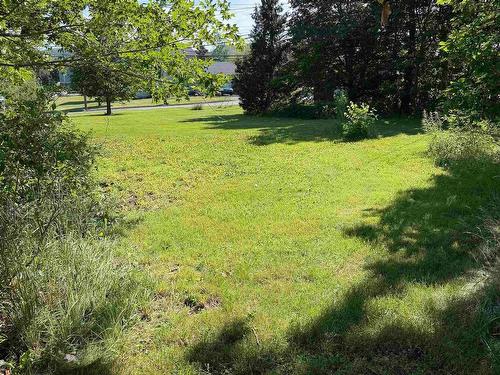 1769 Brierly Brook Road     B2G 2K9, Antigonish, NS - Outdoor