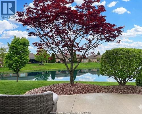 1257 Imperial, Windsor, ON - Outdoor