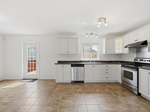 202 Beech Tree Run, Halifax, NS - Indoor Photo Showing Kitchen With Double Sink
