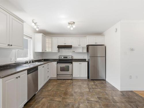 202 Beech Tree Run, Halifax, NS - Indoor Photo Showing Kitchen With Double Sink